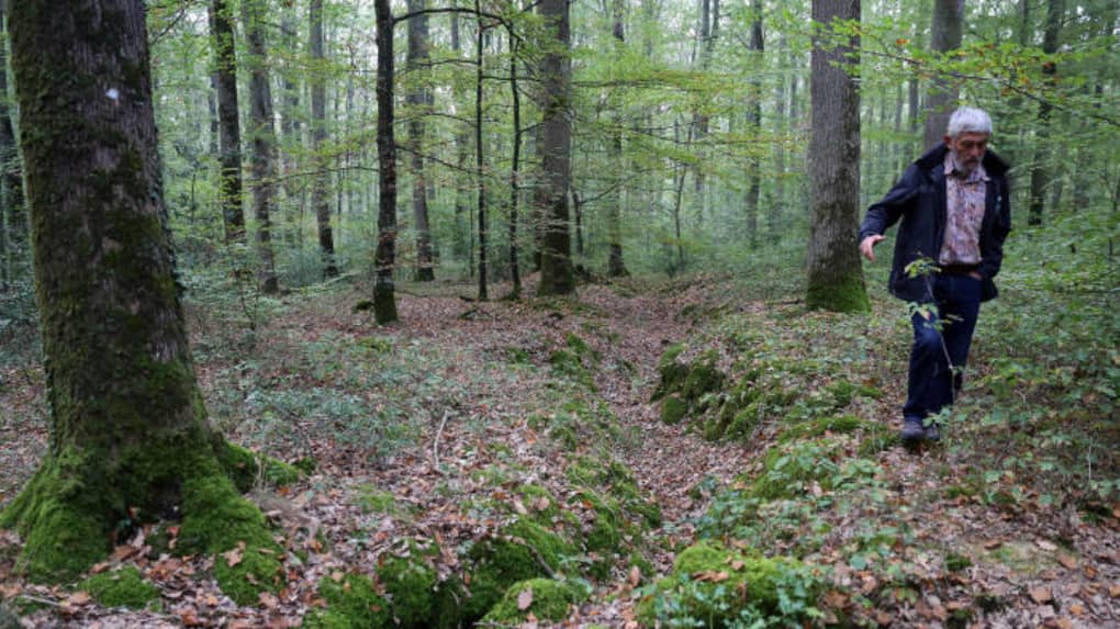Un site unique par son état de conservation, trouvé par Alain Gauthier en forêt de Blois."