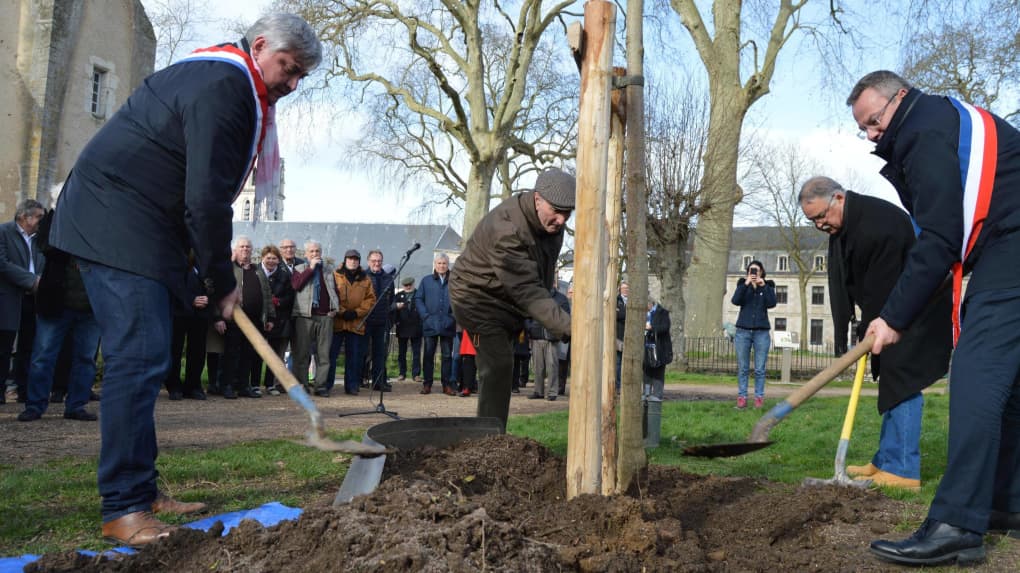 Lors de la replantation de l’arbre de la laïcité, vendredi."