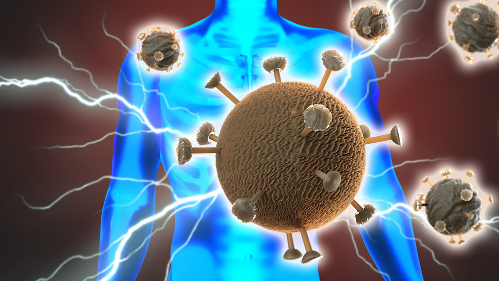 Image: irréfutable: le coronavirus a été conçu par des scientifiques dans un laboratoire utilisant des vecteurs de génie génétique bien documentés qui laissent une «empreinte digitale»